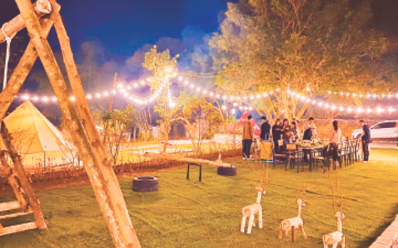 Khu cắm trại Vườn Chill Glamping Land thu hút giới trẻ. 