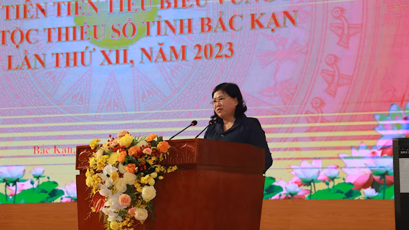 Phó Bí thư Thường trực Tỉnh ủy Bắc Kạn Phương Thị Thanh phát biểu tại hội nghị.