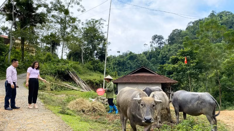 Giảm nghèo bền vững ở Bắc Kạn ảnh 1 Giảm nghèo bền vững ở Bắc Kạn ảnh 1