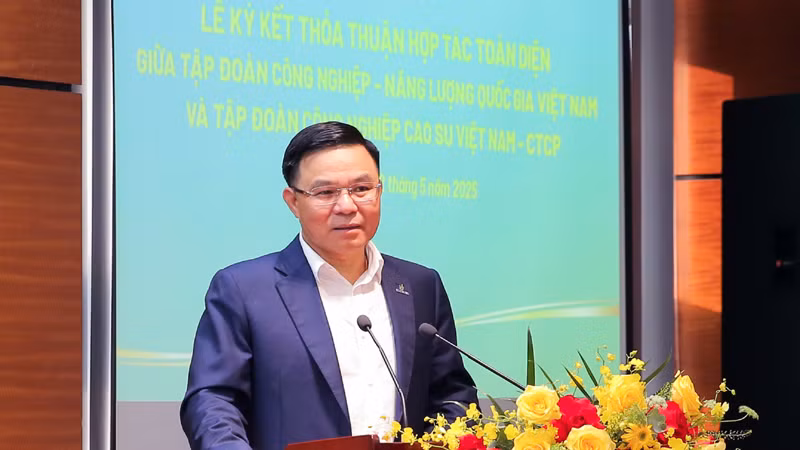 Chủ tịch Hội đồng thành viên Petrovietnam Lê Mạnh Hùng phát biểu tại lễ ký hợp tác.