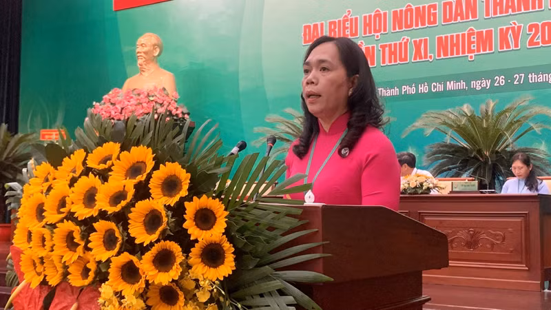 Chủ tịch Hội Nông dân Thành phố Hồ Chí Minh Nguyễn Thanh Xuân phát biểu khai mạc Đại hội. Chủ tịch Hội Nông dân Thành phố Hồ Chí Minh Nguyễn Thanh Xuân phát biểu khai mạc Đại hội.