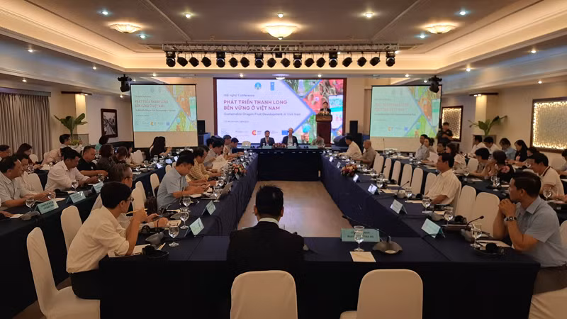 Quang cảnh hội nghị phát triển thanh long bền vững ở Việt Nam Quang cảnh hội nghị phát triển thanh long bền vững ở Việt Nam