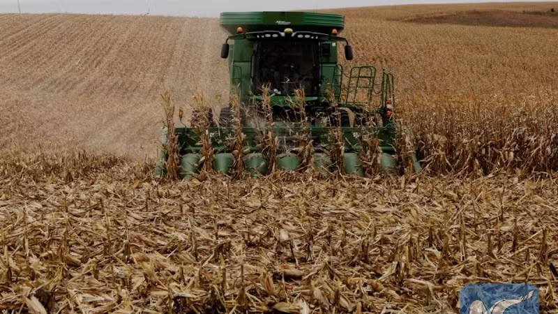 Một trang trại ở bang Nebraska, Mỹ, ngày 26/10/2017. (Ảnh: Tân Hoa xã)