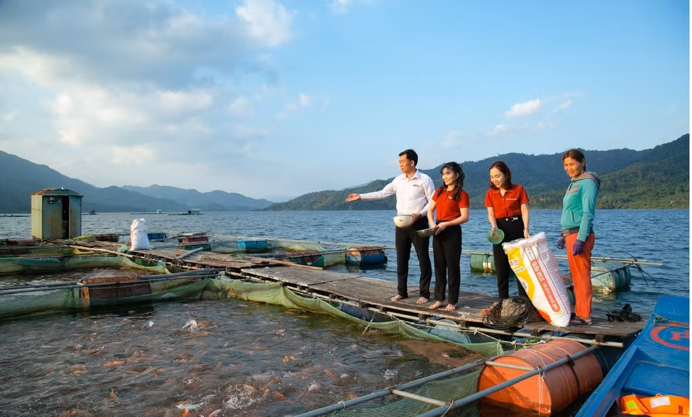 Agribank đã nâng quy mô chương trình tín dụng ưu đãi đối với lĩnh vực lâm sản, thủy sản từ 3 nghìn tỷ đồng lên 8 nghìn tỷ đồng.