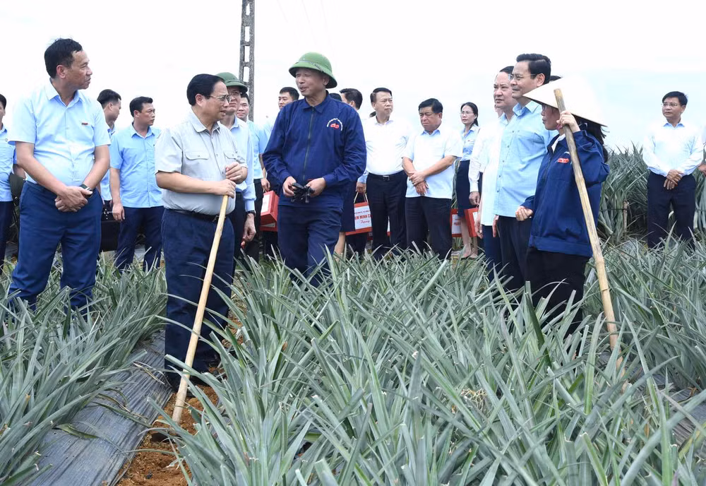 Thủ tướng Phạm Minh Chính nói chuyện với công nhân tại vùng trồng dứa.