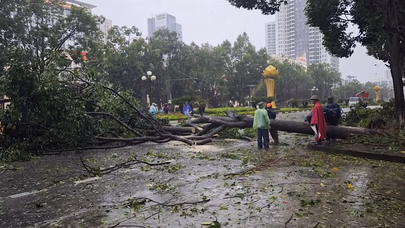 Các lực lượng chức năng kịp thời giải cắt dọn cây đổ, bảo đảm giao thông trên địa bàn thành phố Bắc Ninh. Các lực lượng chức năng kịp thời giải cắt dọn cây đổ, bảo đảm giao thông trên địa bàn thành phố Bắc Ninh.