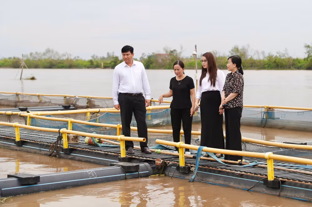 Tổng Giám đốc Agribank Phạm Toàn Vượng và đoàn công tác thăm hỏi, nắm bắt tình hình thiệt hại của khách hàng bị ảnh hưởng bởi bão số 3 (Yagi). Tổng Giám đốc Agribank Phạm Toàn Vượng và đoàn công tác thăm hỏi, nắm bắt tình hình thiệt hại của khách hàng bị ảnh hưởng bởi bão số 3 (Yagi).