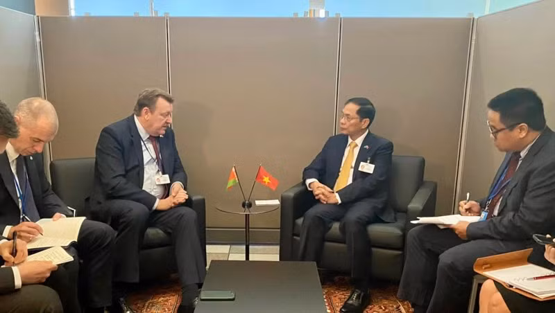 Bộ trưởng Bùi Thanh Sơn tiếp Bộ trưởng Ngoại giao Belarus Sergei Aleinik.