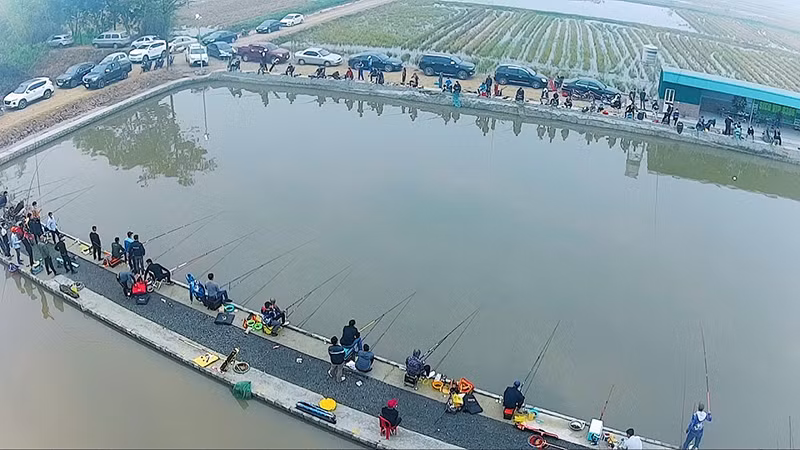 Dịch vụ câu cá đem lại nguồn thu tốt cho các chủ hồ, tạo hướng đi mới trong phát triển kinh tế trang trại. 