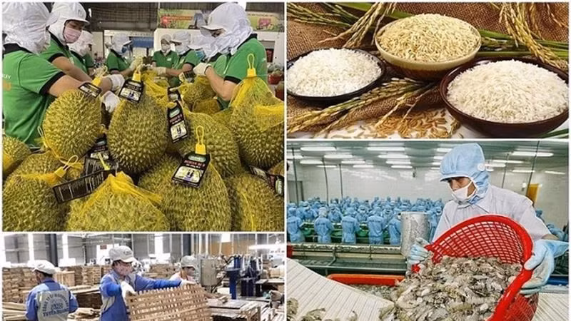 Kim ngạch xuất khẩu nông, lâm, thủy sản tháng 3/2025 của Việt Nam ước đạt 6,14 tỷ USD.
