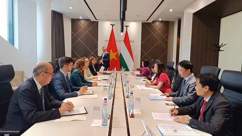 Tham vấn chính trị Việt Nam-Hungary. (Ảnh: Bộ Ngoại giao) Tham vấn chính trị Việt Nam-Hungary. (Ảnh: Bộ Ngoại giao)