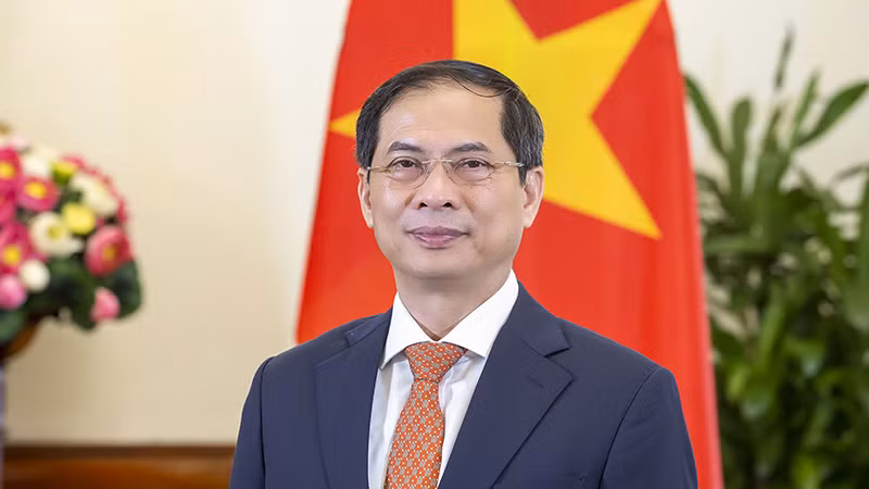 Bộ trưởng Ngoại giao Bùi Thanh Sơn. (Ảnh: Bộ Ngoại giao)