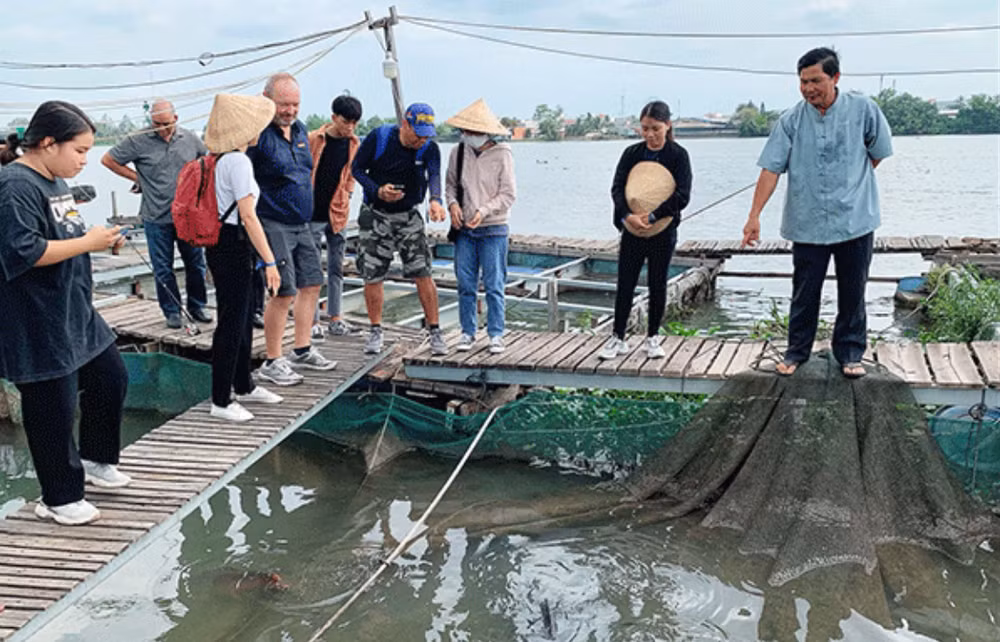Nuôi trồng thuỷ sản kết hợp phát triển du lịch sinh thái tại khu du lịch Cồn Sơn, thành phố Cần Thơ. (Ảnh: Báo Cần Thơ)