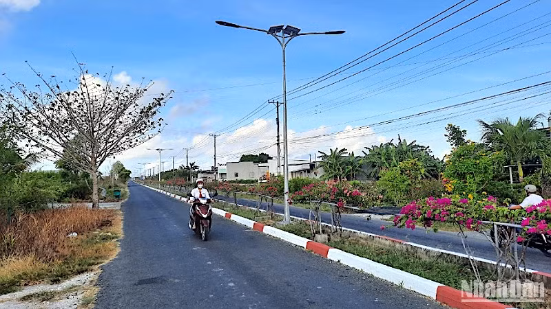Vùng căn cứ cách mạng miệt rừng Ngọc Hiển (tỉnh Cà Mau) trên đường về đích huyện nông thôn mới. 