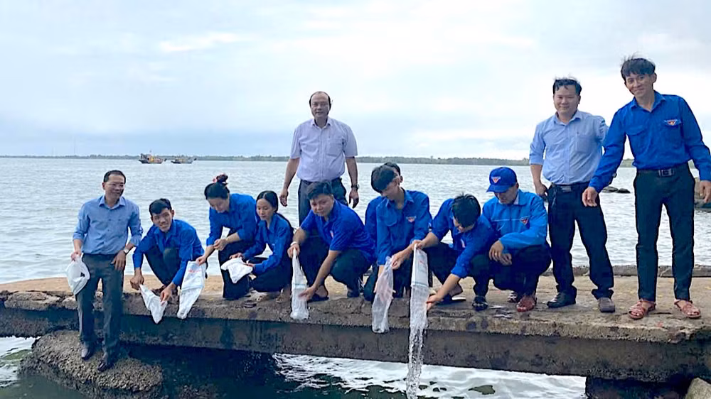 Các đơn vị chức năng tỉnh Cà Mau tiến hành thả con giống về biển, góp phần tái tạo, phục hồi nguồn lợi thủy sản. Các đơn vị chức năng tỉnh Cà Mau tiến hành thả con giống về biển, góp phần tái tạo, phục hồi nguồn lợi thủy sản.