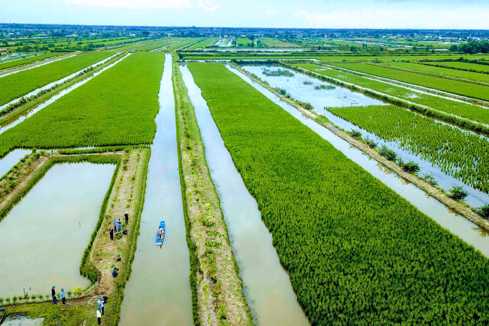 Nhờ đẩy mạnh liên kết mà Cà Mau có thêm nhiều sản phẩm du lịch đặc thù, trong đó có du lịch trải nghiệm cuộc sống vùng sinh thái lúa-tôm. Nhờ đẩy mạnh liên kết mà Cà Mau có thêm nhiều sản phẩm du lịch đặc thù, trong đó có du lịch trải nghiệm cuộc sống vùng sinh thái lúa-tôm.