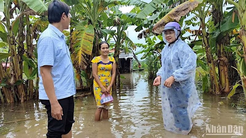 Vùng ngọt xã Trần Hợi (huyện Trần Văn Thời) bị ngập nặng do liên tục gặp mưa vào tháng 11/2023. Vùng ngọt xã Trần Hợi (huyện Trần Văn Thời) bị ngập nặng do liên tục gặp mưa vào tháng 11/2023.