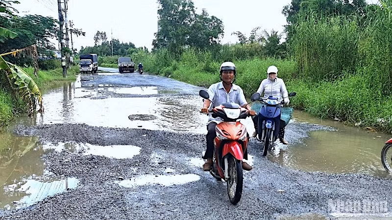 Tuyến đường Mậu Thân trong nội ô thành phố Cà Mau xuống cấp trầm trọng và thường xuyên bị ngập nước.