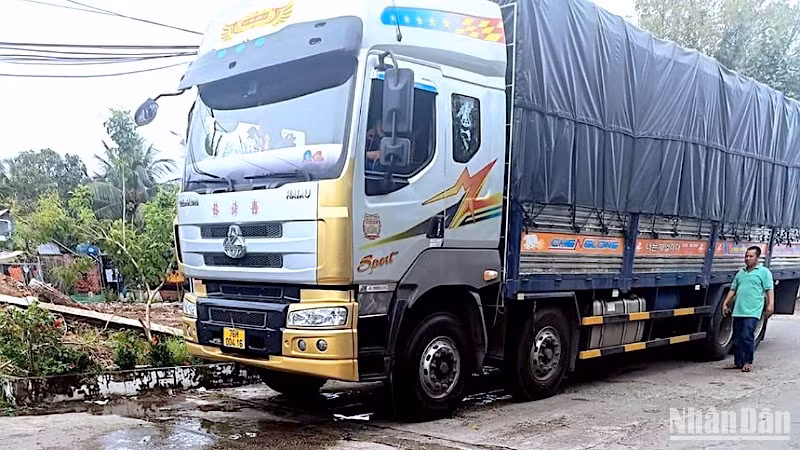 Xe tải lớn bị tạm giữ sau khi làm hư hỏng cầu bắt ngang thị trấn Trần Văn Thời (huyện Trần Văn Thời, tỉnh Cà Mau).