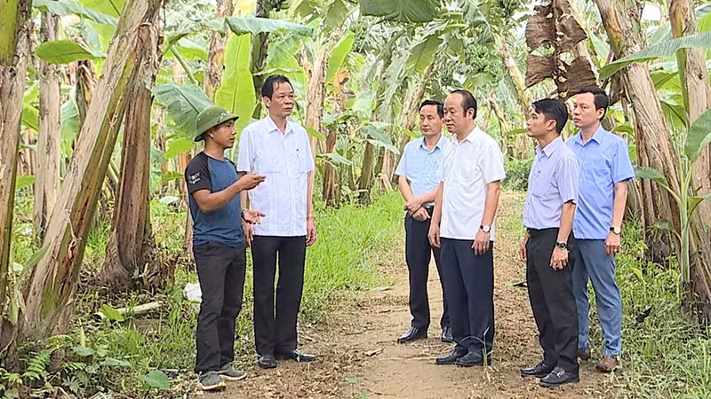 Cán bộ và người dân xã Vĩnh Chân, huyện Hạ Hòa trao đổi kinh nghiệm liên kết sản xuất, tiêu thụ chuối.