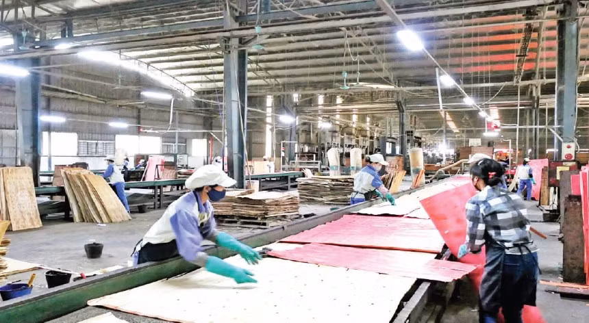 Nhà máy chế biến gỗ công nghiệp Vị Xuyên, tỉnh Hà Giang.