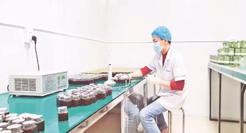 Công ty trách nhiệm hữu hạn Hatodo (Cao Bằng) ứng dụng khoa học công nghệ, sản xuất sản phẩm OCOP chất lượng.
