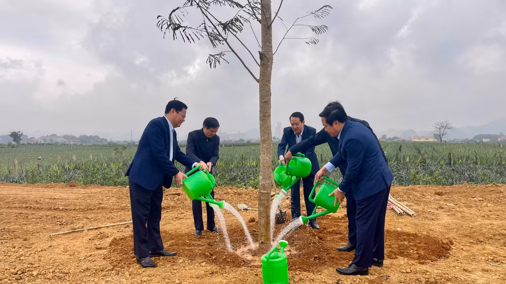 Sau lễ phát động, các đại biểu trồng cây tại thành phố Tam Điệp, tỉnh Ninh Bình.