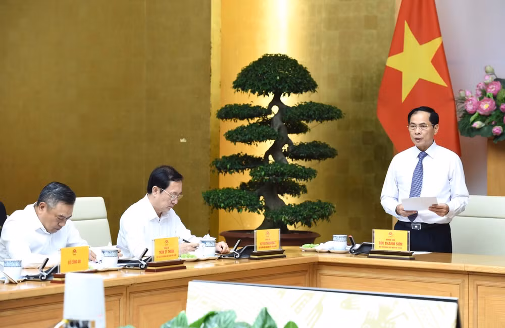 Bộ trưởng Ngoại giao Bùi Thanh Sơn báo cáo tại hội nghị. (Ảnh: TRẦN HẢI)