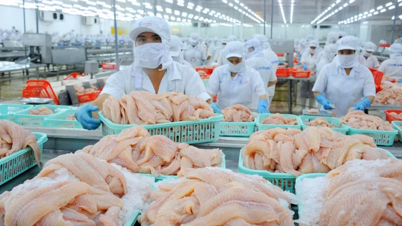 Thủy sản là mặt hàng xuất khẩu tiềm năng sang thị trường Trung Quốc. (Ảnh: LÊ HOÀNG VŨ)