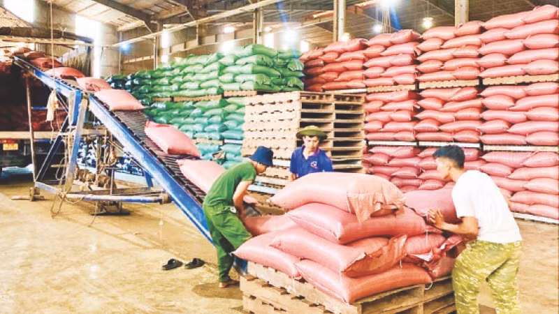 Các doanh nghiệp ở Gia Lai được hưởng nhiều chính sách hỗ trợ tạo thuận lợi cho hoạt động.