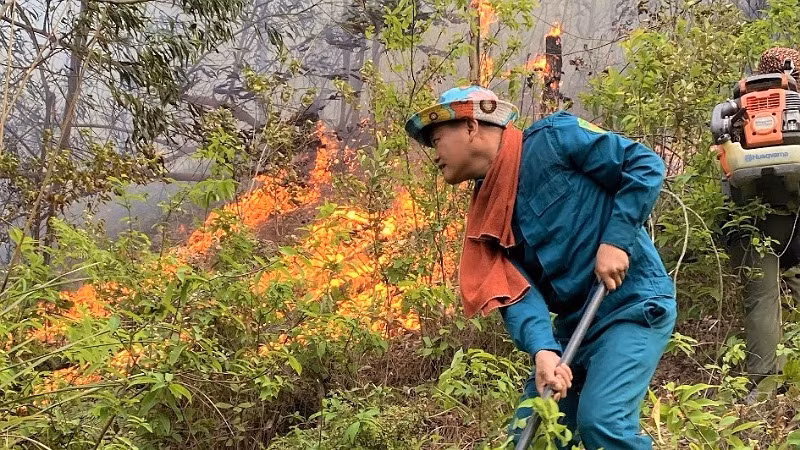 Ngọn lửa bùng phát trở lại ở khu vực rừng thuộc xóm Tân Phong, xã Thanh Khai, huyện Thanh Chương vào sáng nay.