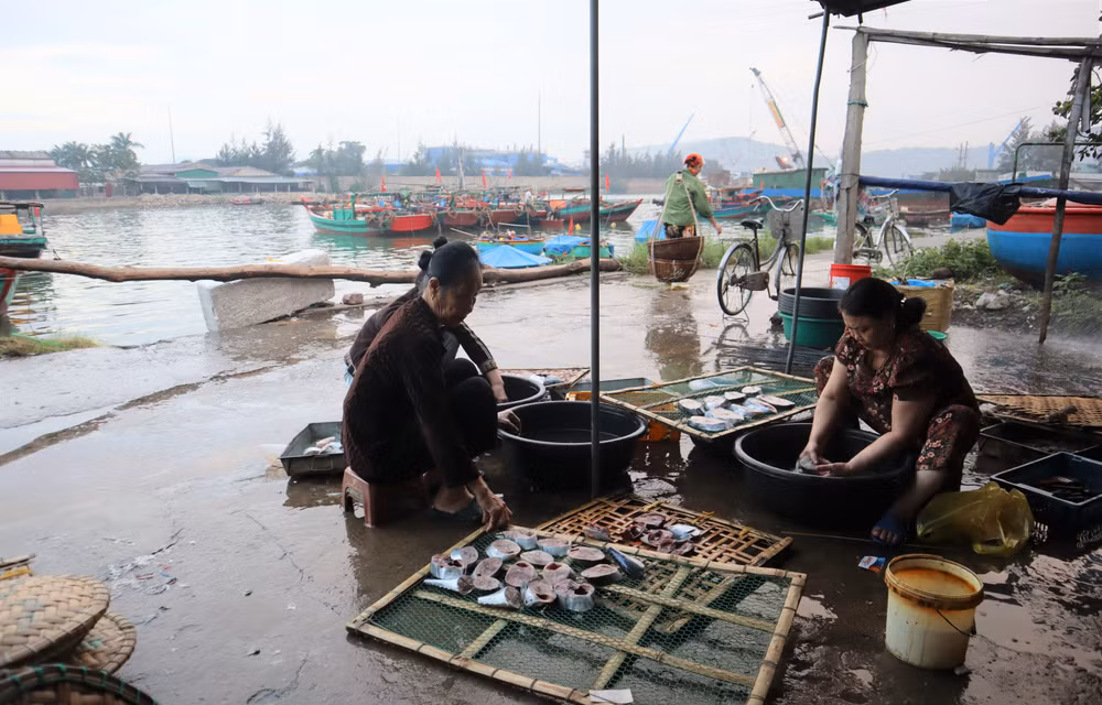 Cá dùng để nướng được các chủ lò mua ở chợ bến cá ngay bên cạnh. Tàu của ngư dân cặp bến khi trời còn chưa sáng.
