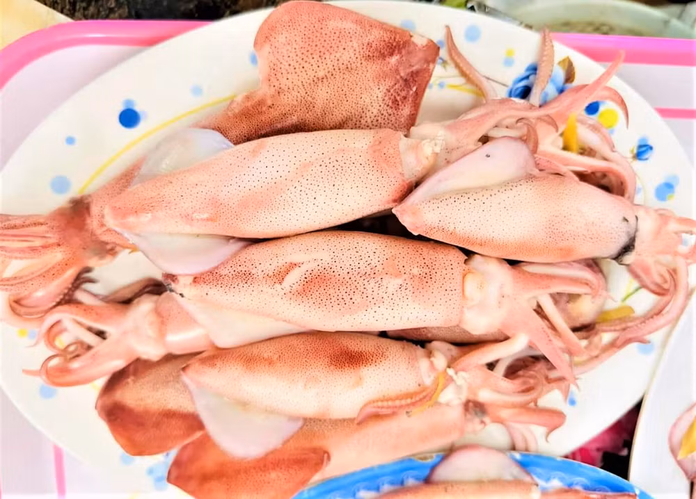 Phố biển Cửa Lò nổi tiếng với hải sản tươi ngon, đặc biệt là món mực nháy do chính ngư dân câu được ở vùng biển địa phương. Phố biển Cửa Lò nổi tiếng với hải sản tươi ngon, đặc biệt là món mực nháy do chính ngư dân câu được ở vùng biển địa phương.