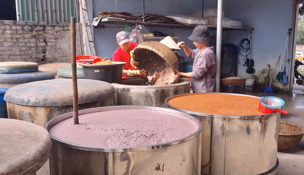Mắm tôm được chế biến từ nguyên liệu là con ruốc biển tươi của chính ngư dân thị xã Cửa Lò đi đánh bắt về. Khi muối, nắng càng to thì sản phẩm mắm càng thơm, màu tươi đẹp.