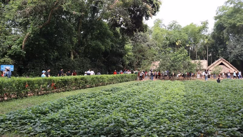 Hàng nghìn người dân, du khách đã về thăm khu Di tích lịch sử quốc gia đặc biệt Kim Liên - Quê hương của Chủ tịch Hồ Chí Minh.