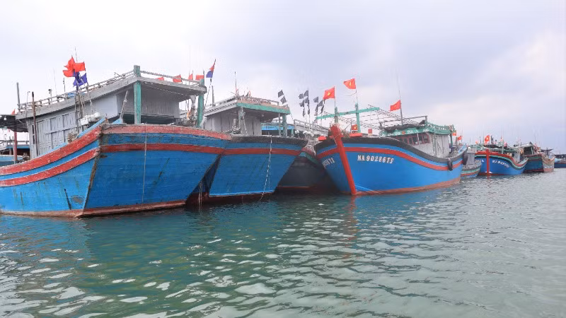 Toàn tỉnh Nghệ An hiện có 2.717 tàu cá; trong đó có 1.042 tàu khai thác vùng khơi.