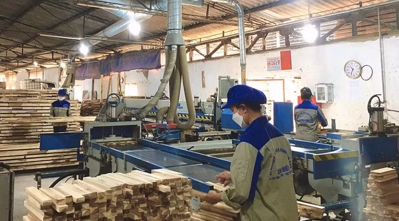 Nhà máy chế biến gỗ ở Nghĩa Đàn (Nghệ An).