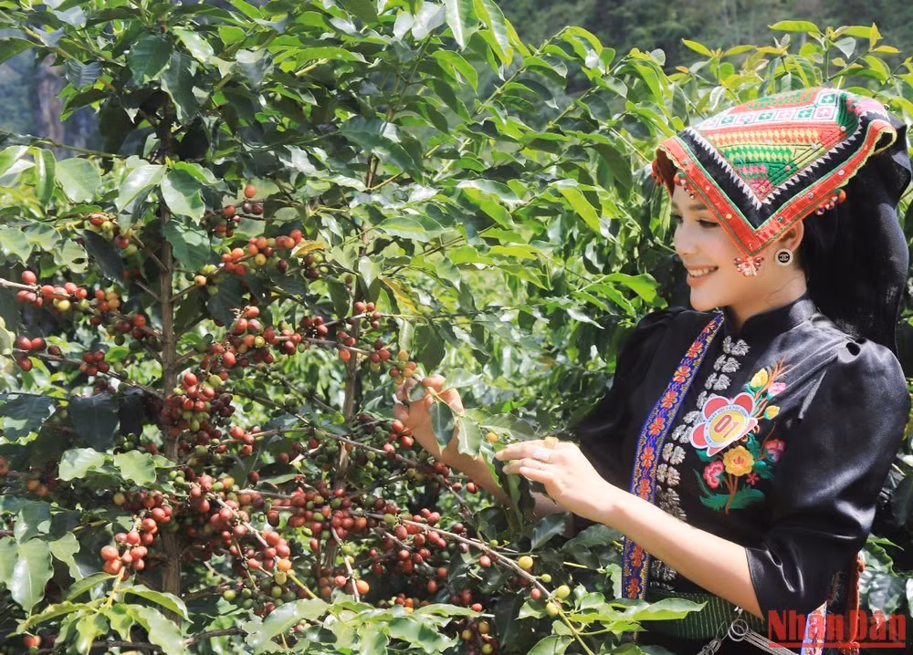 Chị Hà Hồng Thắm, đội thi xã Hua La đoạt giải bàn tay vàng.