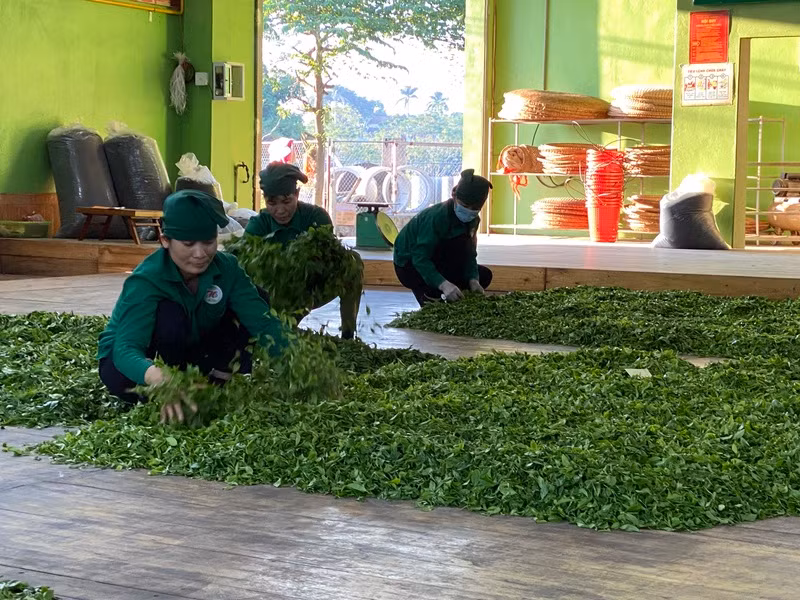 Người dân có việc làm, thu nhập vươn lên thoát nghèo. Người dân có việc làm, thu nhập vươn lên thoát nghèo.