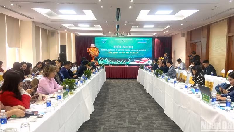 Các đại biểu tham dự hội nghị.