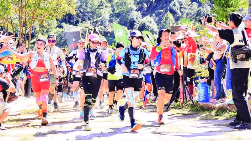 Giải chạy địa hình Laan Ultra Trail 2024 tổ chức tại Lâm Đồng thu hút hơn 2.600 vận động viên trong nước và quốc tế tham gia.