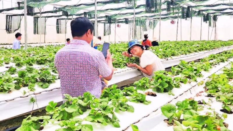 Khoa học và công nghệ đã giúp sản phẩm nông nghiệp Đắk Nông nâng tầm trên thị trường trong nước và quốc tế.