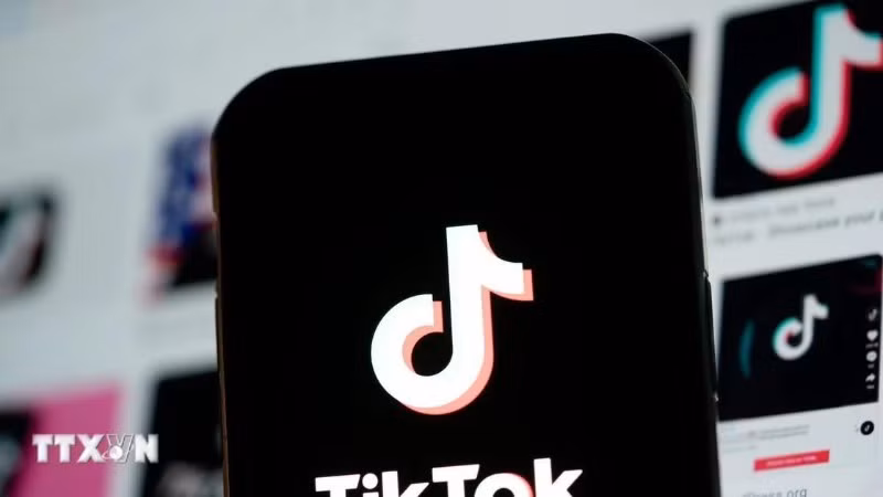 Biểu tượng TikTok trên màn hình điện thoại di động. (Ảnh: THX/TTXVN)