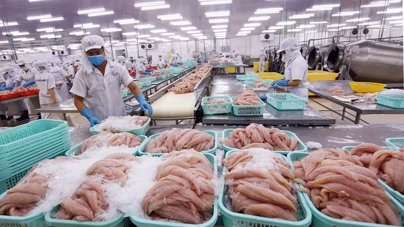 Trong 4 tháng đầu năm 2025, kim ngạch xuất khẩu thủy sản Việt Nam đạt 3,3 tỷ USD, tăng 21% so với cùng kỳ năm trước.