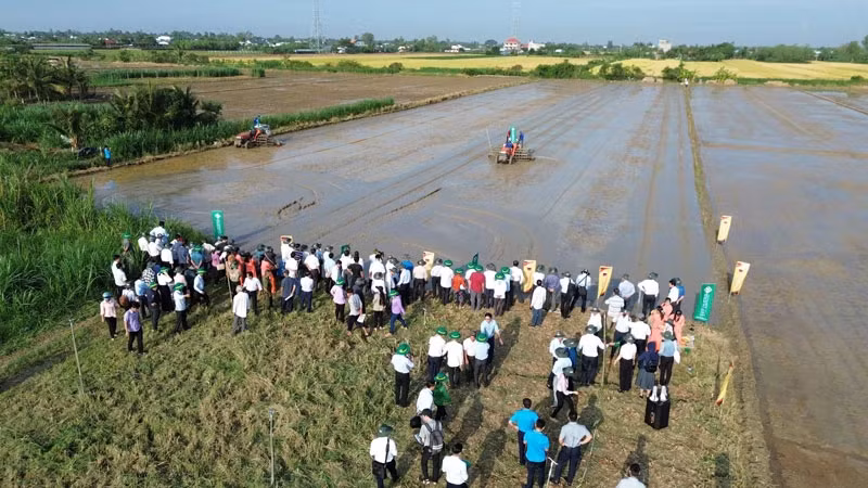 Tỉnh Tiền Giang triển khai đề án 1 triệu ha lúa. Tỉnh Tiền Giang triển khai đề án 1 triệu ha lúa.