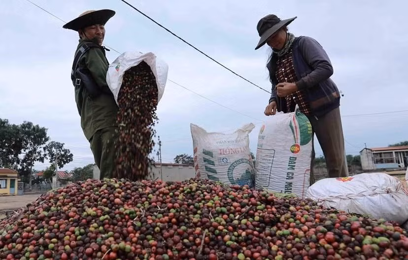 Các mặt hàng chủ lực như thủy sản, gỗ, cà-phê, rau quả, hạt điều, hàng thủ công mỹ nghệ của Việt Nam đều là những nhóm hàng Anh có nhu cầu cao. Các mặt hàng chủ lực như thủy sản, gỗ, cà-phê, rau quả, hạt điều, hàng thủ công mỹ nghệ của Việt Nam đều là những nhóm hàng Anh có nhu cầu cao.