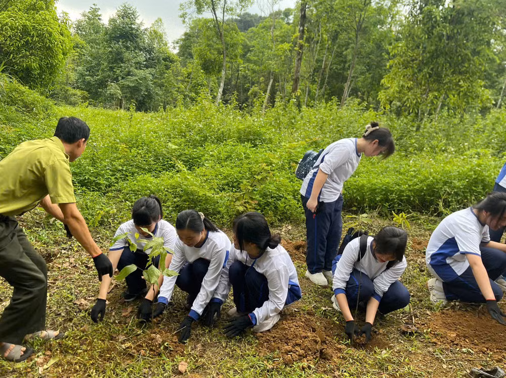 Học sinh tham gia hoạt động thực địa Học sinh tham gia hoạt động thực địa