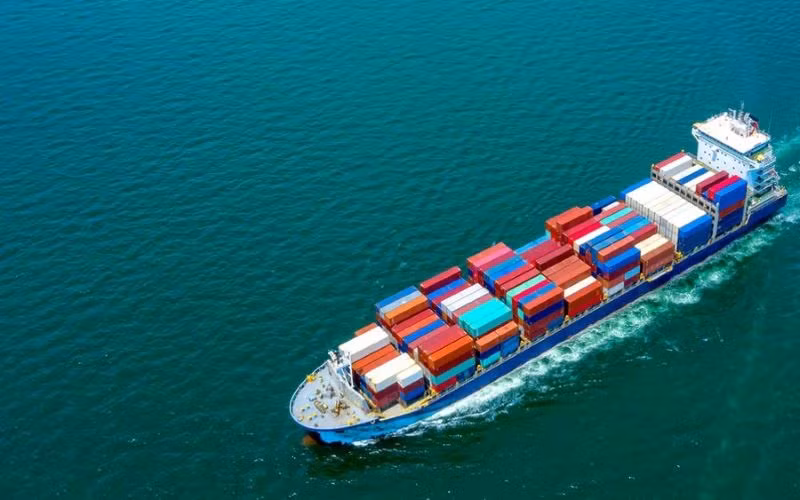 Hiện nay, có khoảng 10 hãng tàu được cấp giấy phép vận tải nội địa.