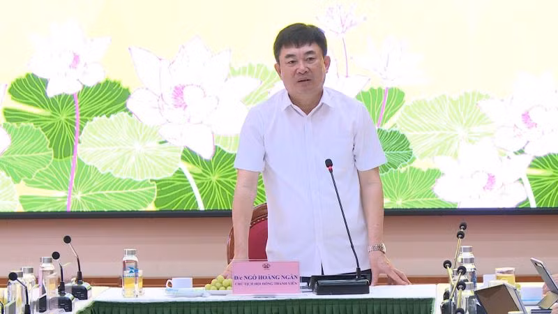 Ông Ngô Hoàng Ngân, Chủ tịch Hội đồng thành viên TKV.