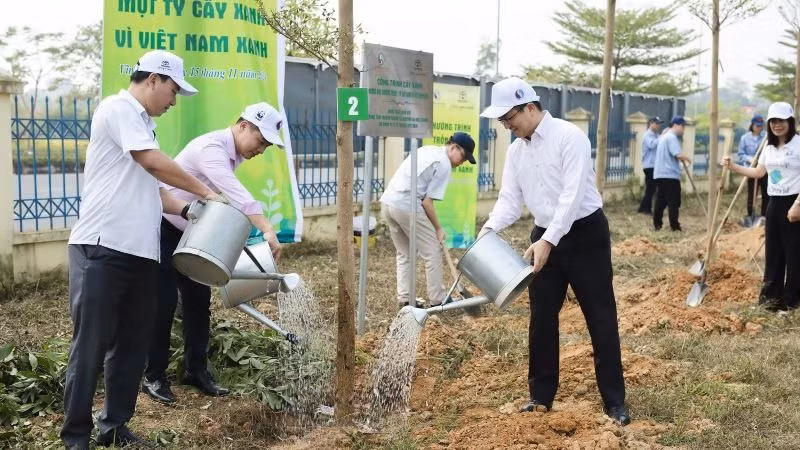 TMV trồng và trao tặng 159 cây bàng Đài Loan tại sân vận động thị trấn Tam Sơn, huyện Sông Lô, tỉnh Vĩnh Phúc.
